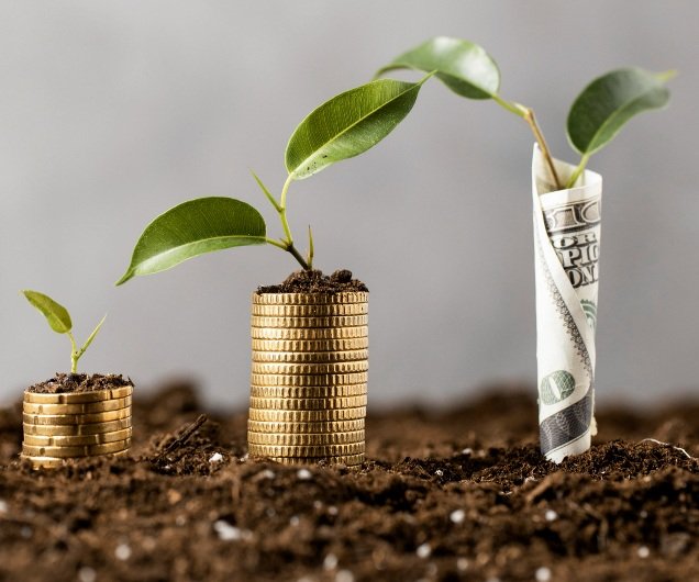 Shopify Experts Building Fast, Scalable, and Sales-Driven Online Stores